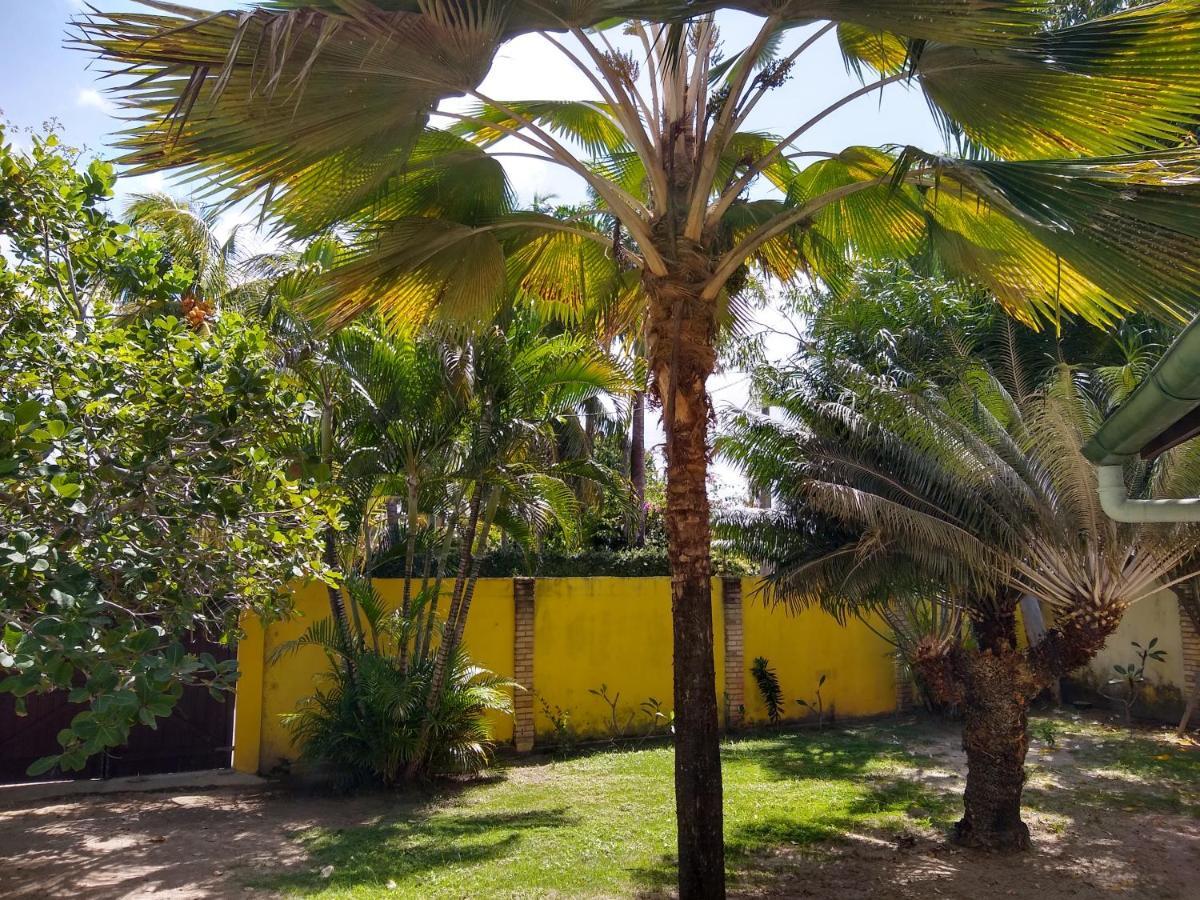 Hotel Pousada Porto Do Colibri Pôrto das Galinhas Zewnętrze zdjęcie